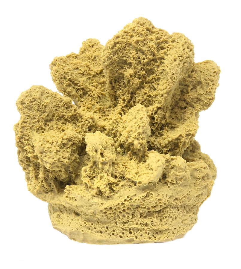 Artificial Acropora Coral (Acropora palifera) replica, item #19100