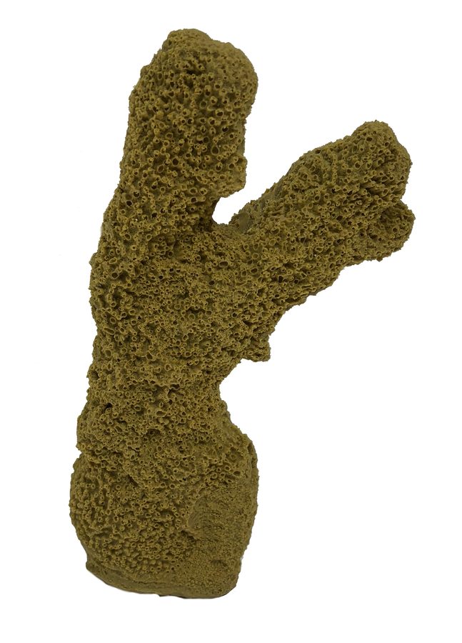 Artificial Acropora Coral (Acropora palifera) replica, item #19300