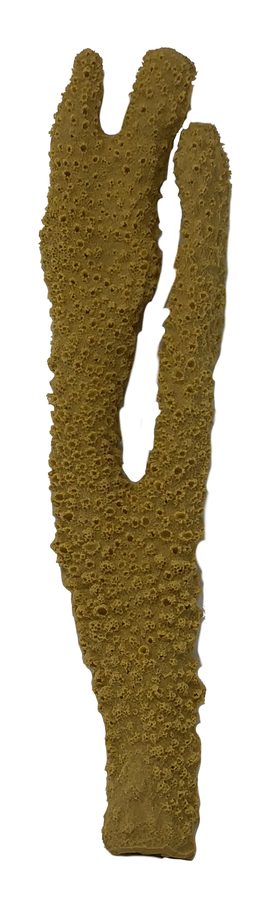 Artificial Antler Coral (Pocillopora eydouxi) replica, item #20300