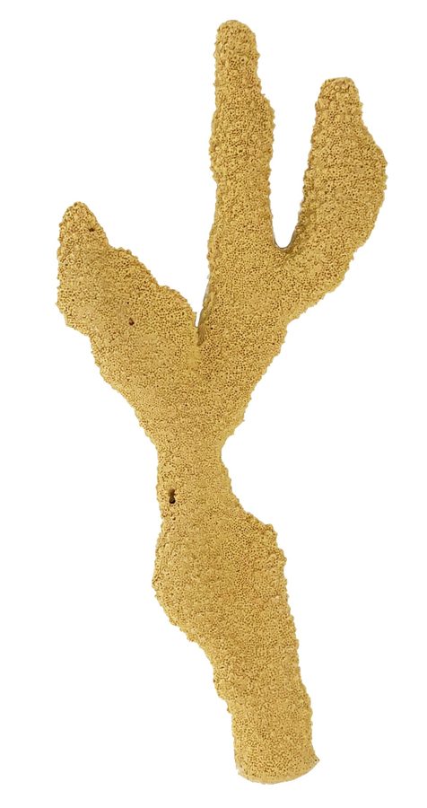 Artificial Antler Coral (Pocillopora eydouxi) replica, item #20400