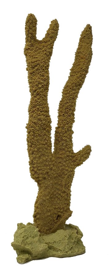 Artificial Antler Coral (Pocillopora eydouxi) replica, item #20500