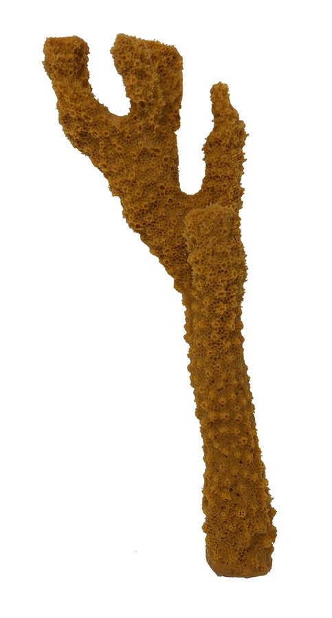 Artificial Antler Coral (Pocillopora eydouxi) replica, item #20800