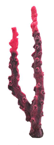 Artificial Black Sun Coral (Tubastraea micrantha) replica, item #35200
