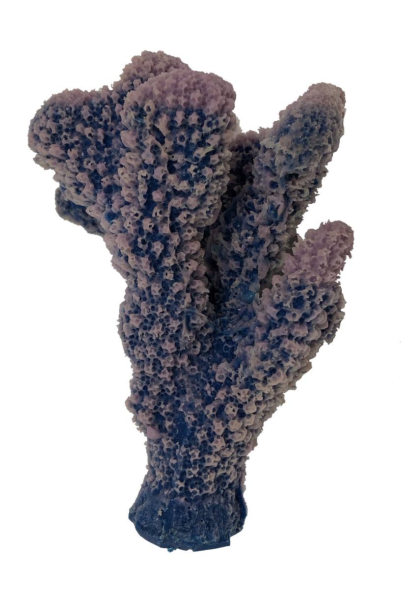 Artificial Cauliflower Coral (Pocillopora meandrina) replica, item #03200