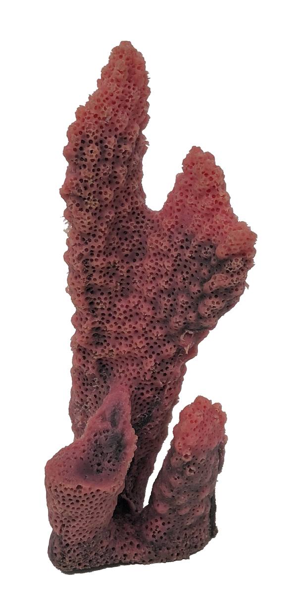 Artificial Cauliflower Coral (Pocillopora meandrina) replica, item #03300