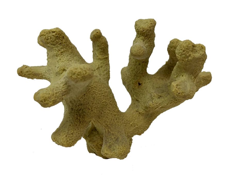 Artificial Clubtip Finger Coral (Porites porites) replica, item #01170