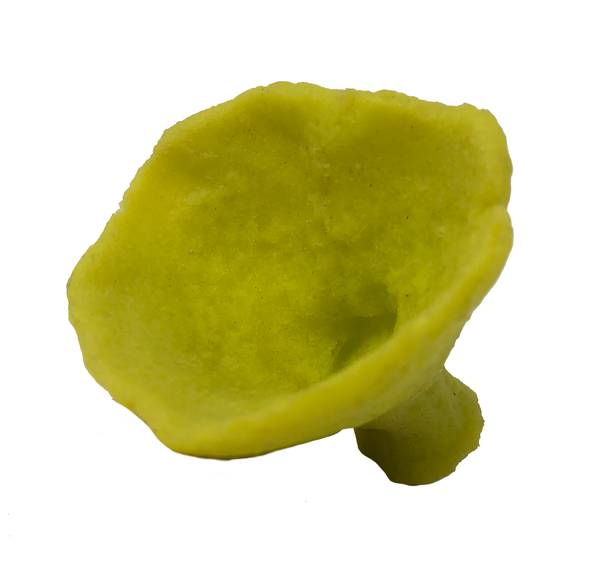 Artificial Cribochalina vasculum replica, item #34700
