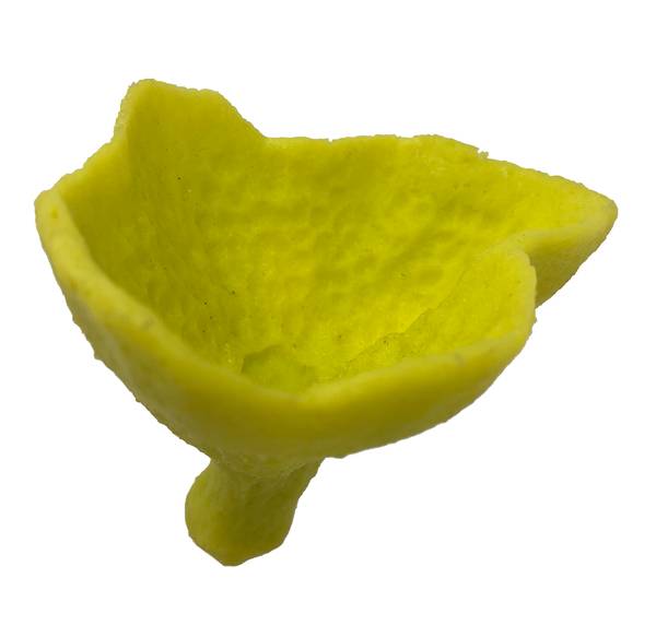 Artificial Cribochalina vasculum replica, item #34800