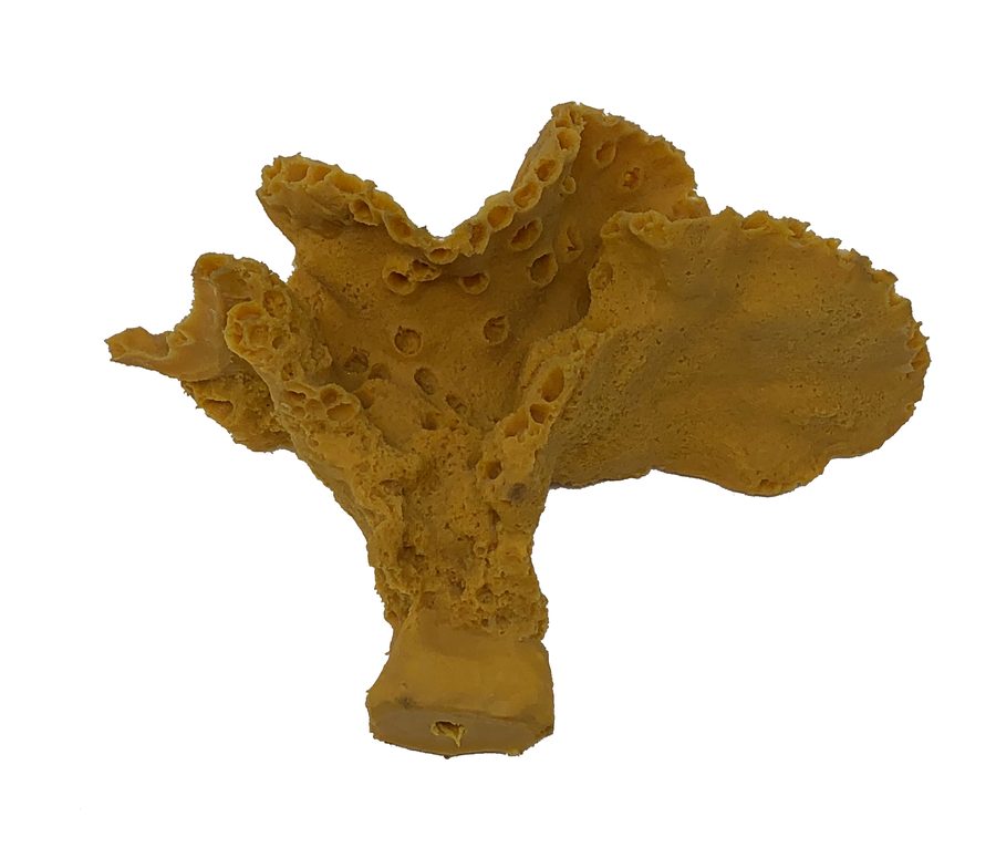 Artificial Cup Coral (Turbinaria sp.) replica, item #18100