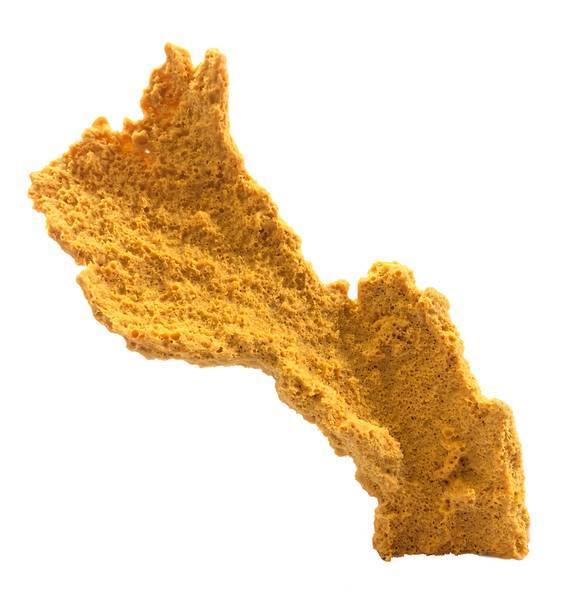 Artificial Elkhorn Coral (Acropora palmata) replica, item #27160