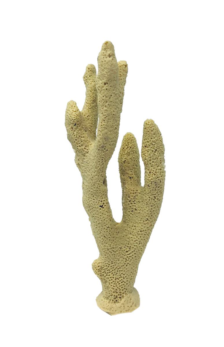 Artificial Finger Coral (Porites cylindrica) replica, item #01100