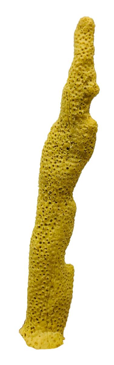 Artificial Finger Coral (Porites cylindrica) replica, item #01400