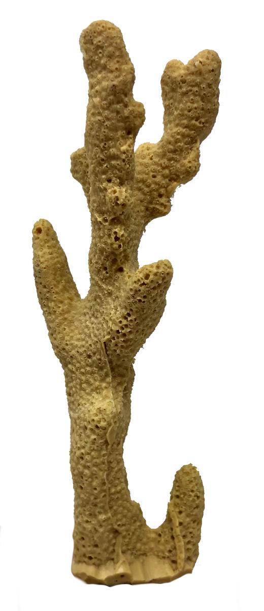 Artificial Finger Coral (Porites cylindrica) replica, item #01500