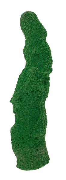 Artificial Galaxy Coral (Galaxea astreata) replica, item #33200