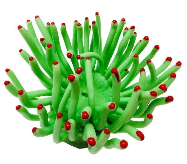 Artificial Giant Caribbean Anemone (Condylactis gigantea) replica, item #91900