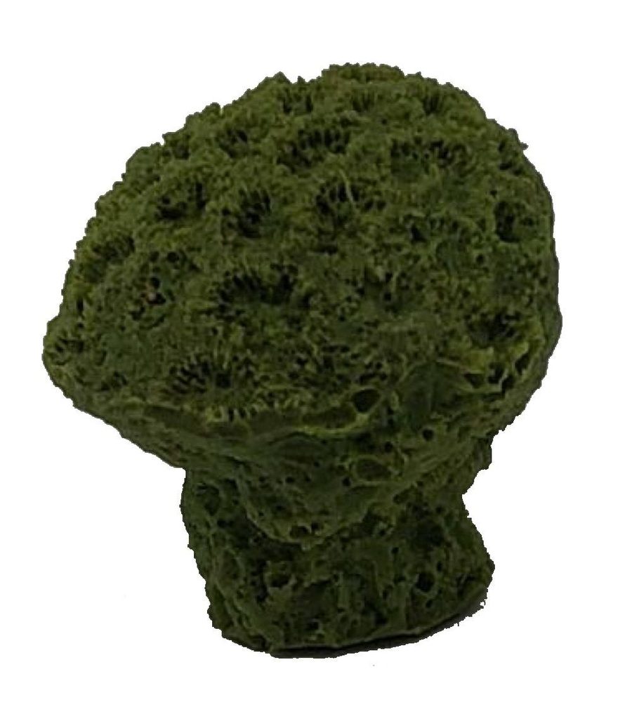Artificial Golfball Coral (Favia fragum) replica, item #59100