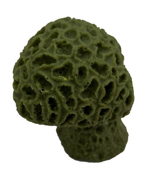 Artificial Golfball Coral (Favia fragum) replica, item #59200