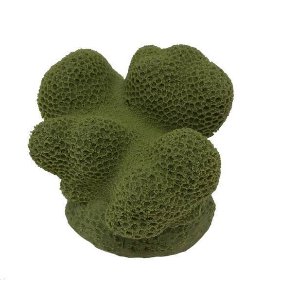 Artificial Golfball Coral (Favia fragum) replica, item #59300