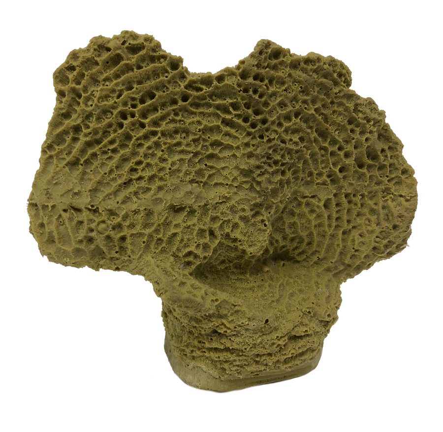 Artificial Lettuce Coral (Agaricia sp.) replica, item #16120