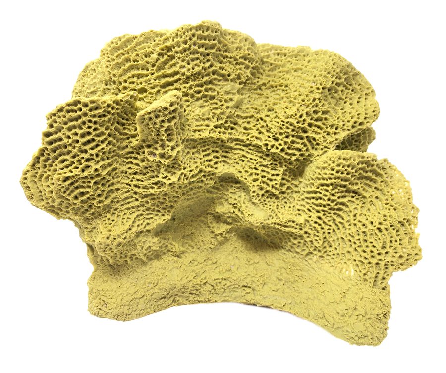 Artificial Lettuce Coral (Agaricia sp.) replica, item #16140
