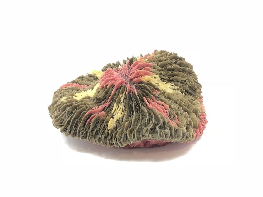 Artificial Mushroom Coral (Fungia sp.) replica, item #04300