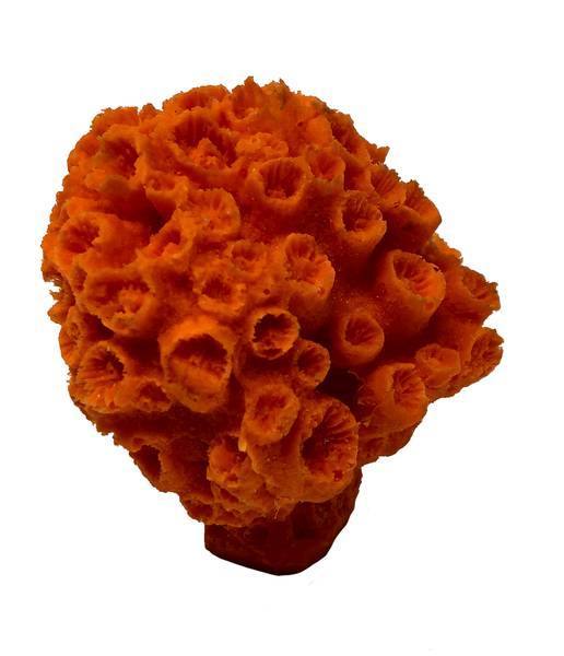 Artificial Orange Cup Coral (Tubastraea coccinea) replica, item #38100