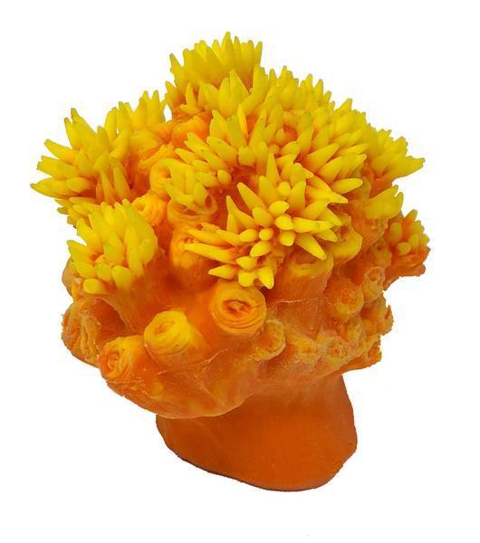 Artificial Orange Cup Coral (Tubastraea coccinea) replica, item #38400
