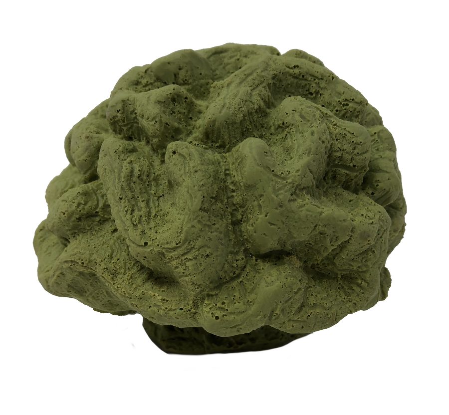 Artificial Sinuous Cactus Coral (Isophyllia sinuosa) replica, item #09100