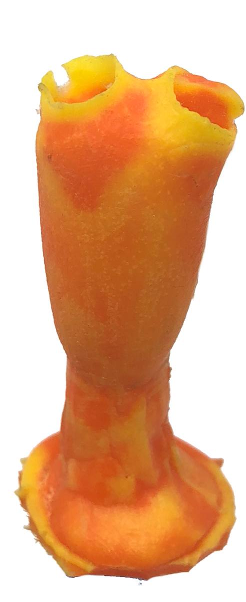 Artificial Tunicate (Clavelina sp.) replica, item #88400