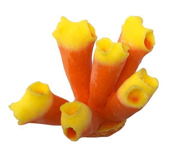 Artificial Tunicate (Rhopalaea sp.) replica, item #88500