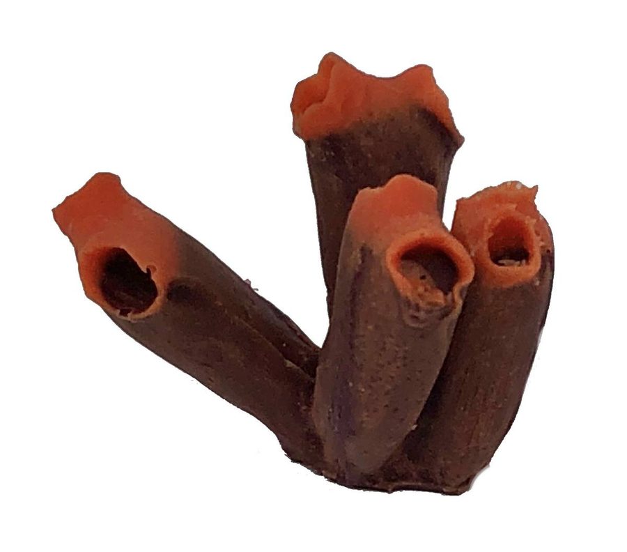 Artificial Tunicate (Rhopalaea sp.) replica, item #88600