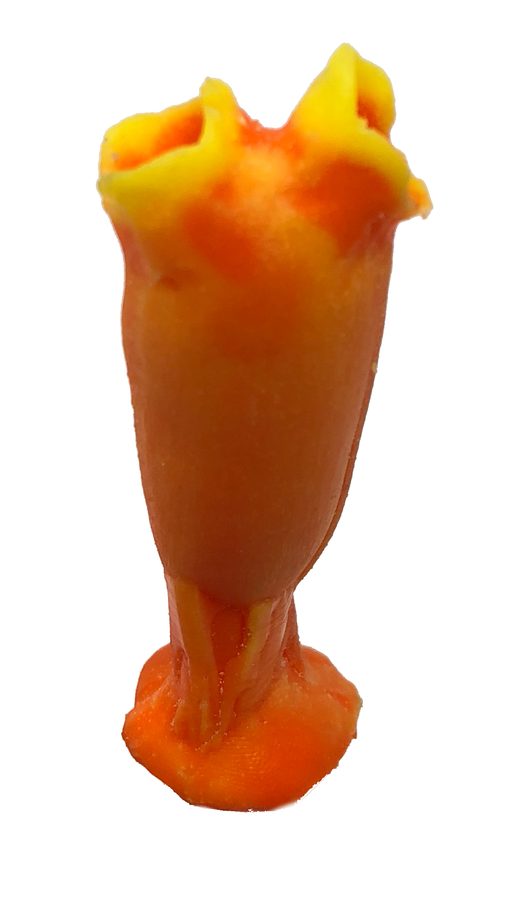 Artificial Tunicate (Rhopalaea sp.) replica, item #88700