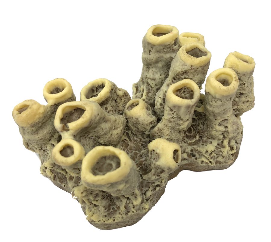 Artificial Variable Boring Sponge replica, item #13300