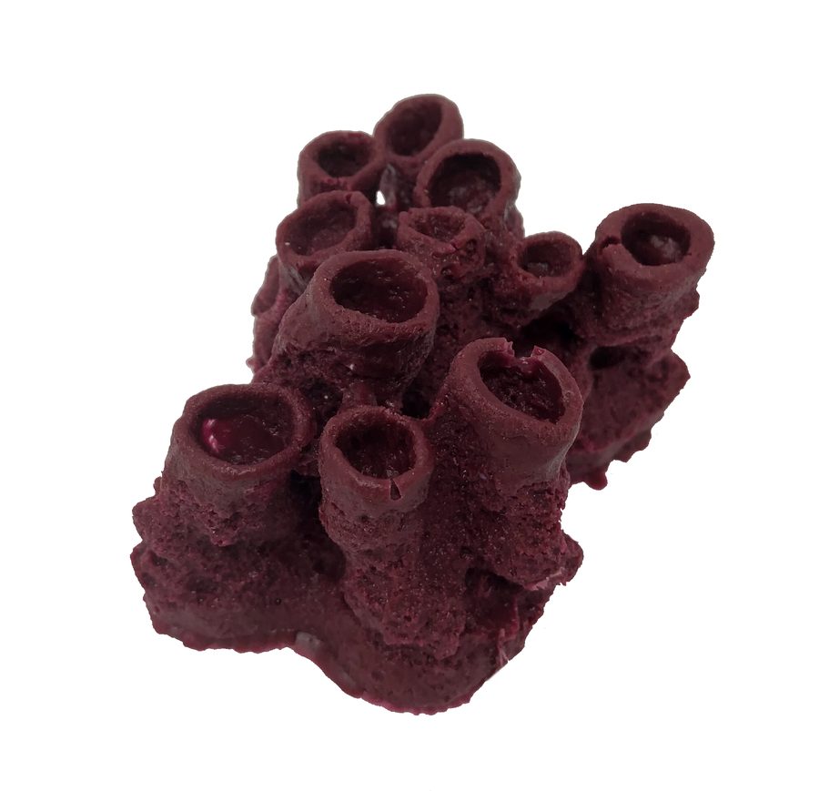 Artificial Variable Boring Sponge replica, item #13500