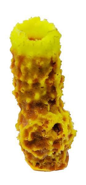 Artificial Vase Sponge replica, item #70130
