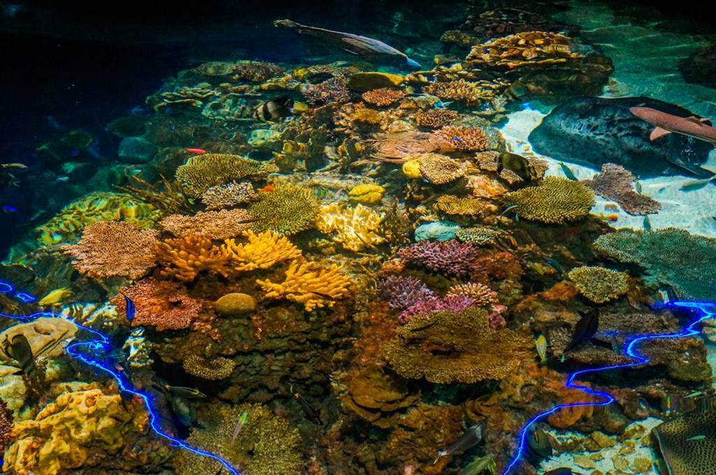 National Aquarium Baltimore — Manwarren Habitats