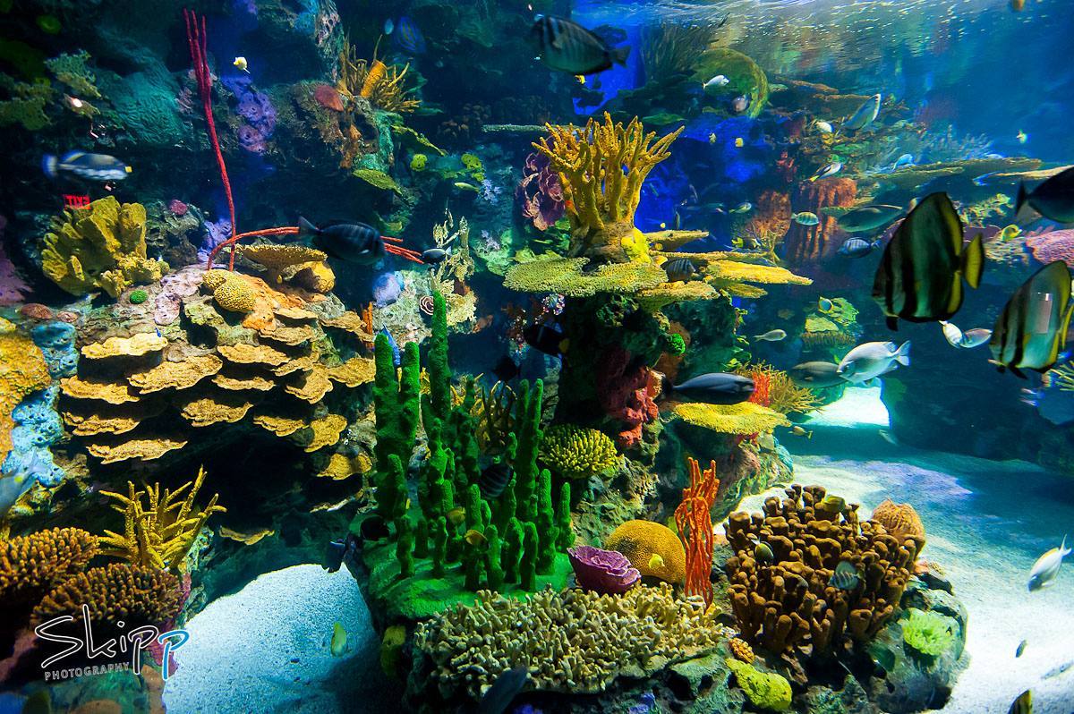 National Aquarium — Manwarren Habitats