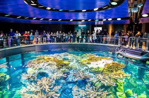 New England Aquarium — Manwarren Habitats