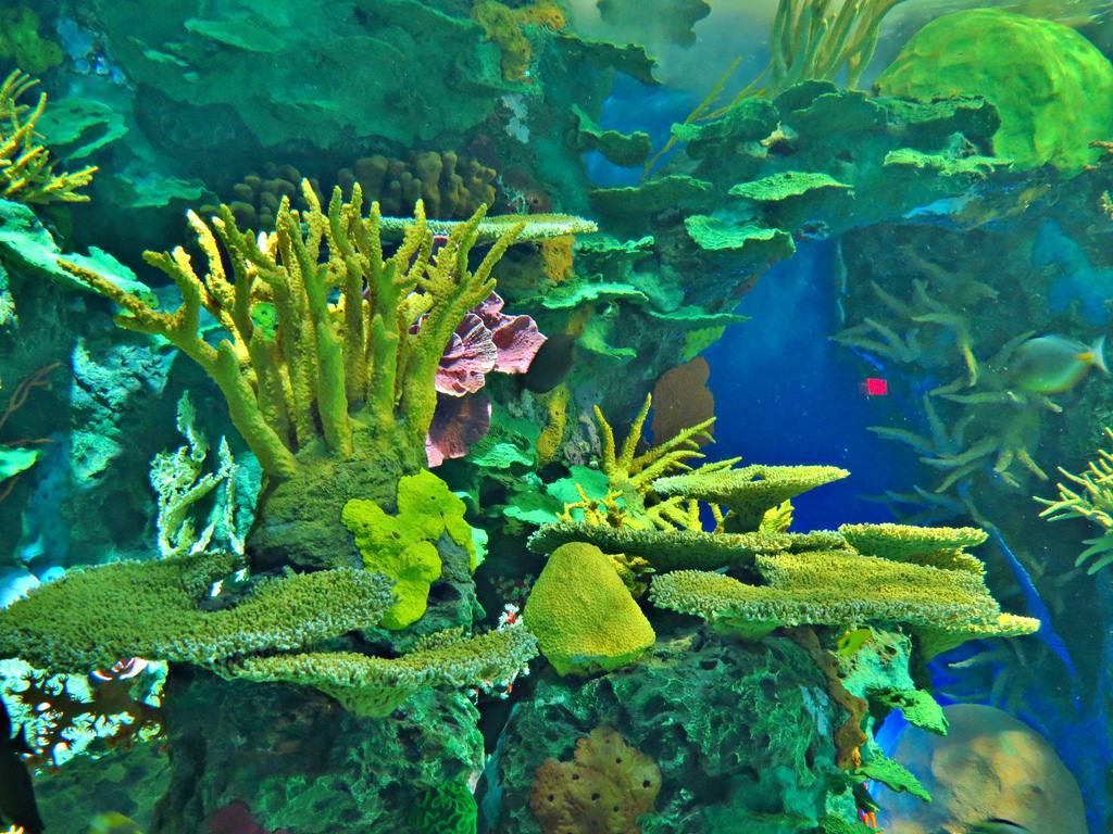 New England Aquarium — Manwarren Habitats