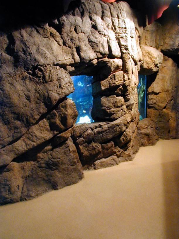 New York Aquarium — Cave view rockscape