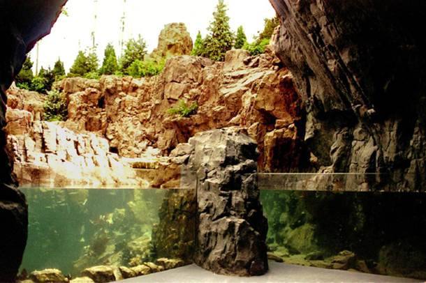Oceanario de Lisboa — Above & below water