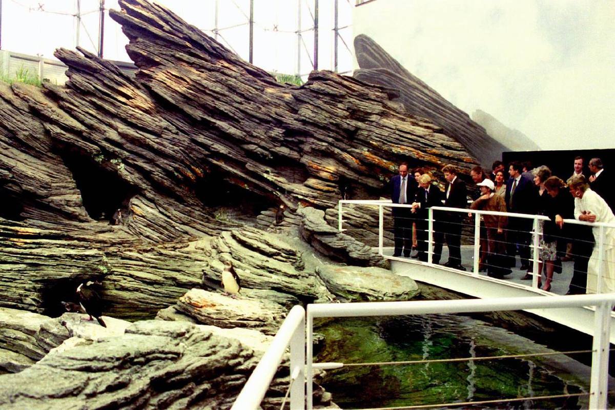 Oceanario de Lisboa — Grand penguin rockscape