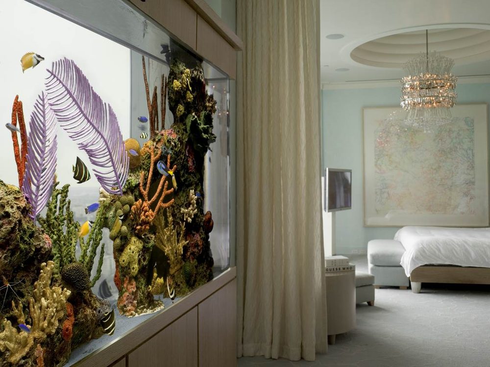 Custom residential aquarium design &amp; installation