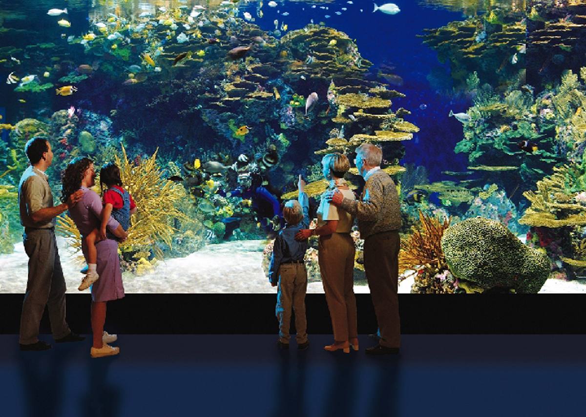 Ripley's Aquarium — Manwarren Habitats