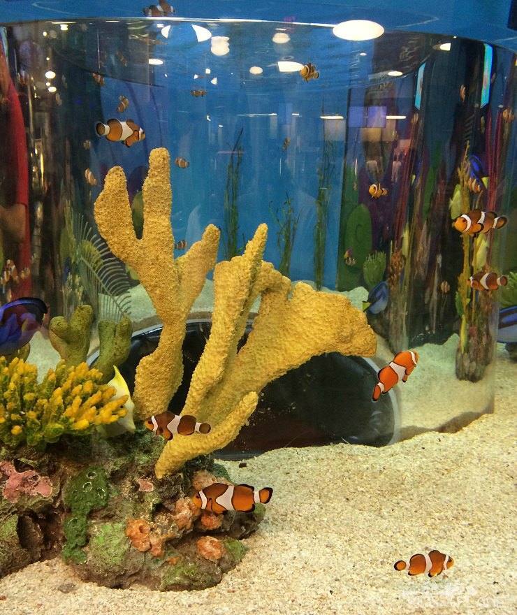 Ripley's Aquarium of Canada — Manwarren Habitats