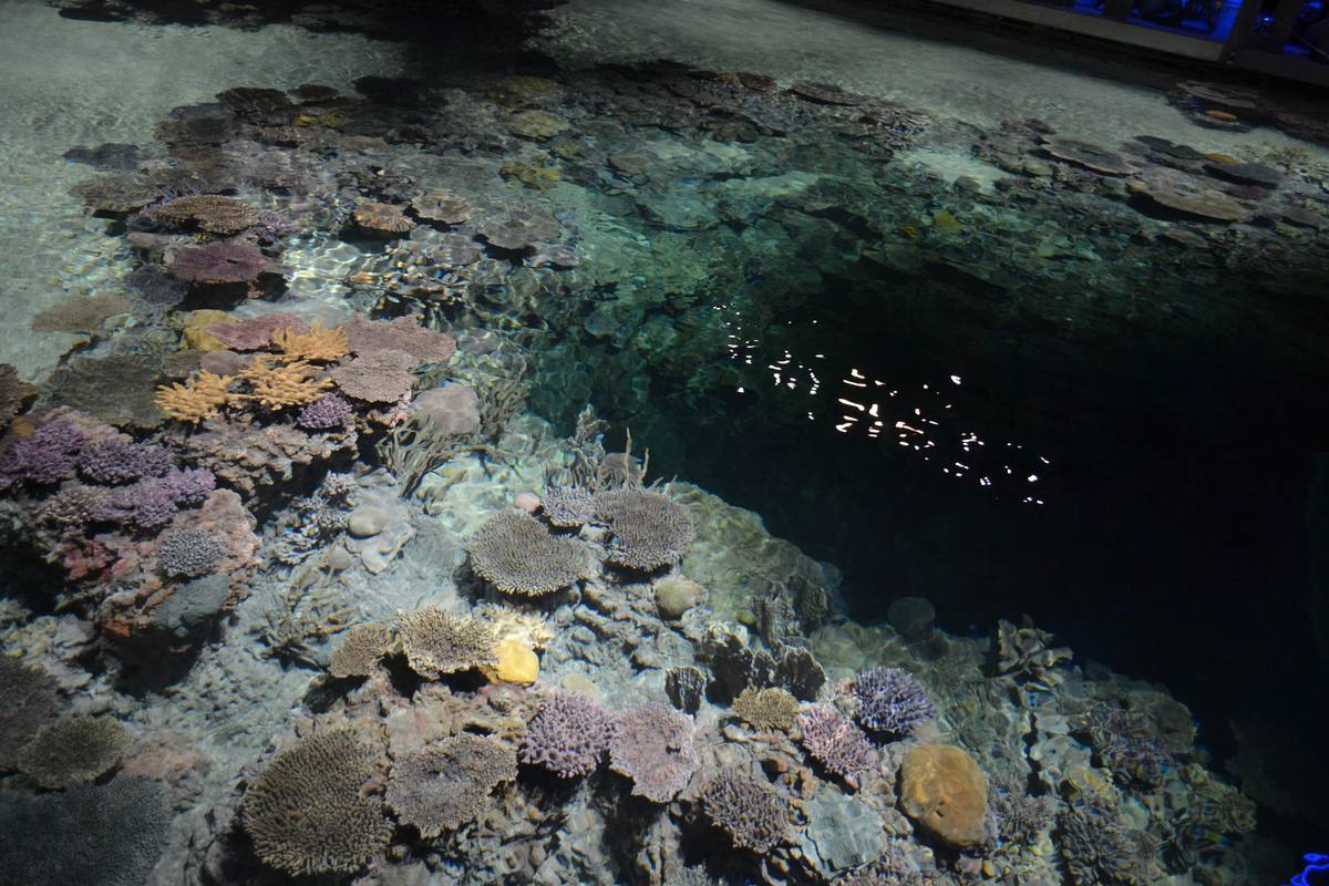 Toronto Zoo — Manwarren Habitats