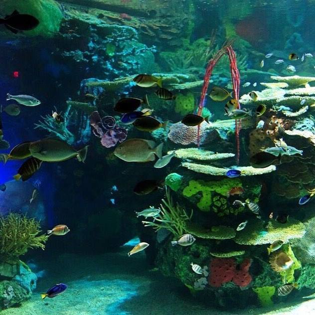 Toronto Zoo — Manwarren Habitats