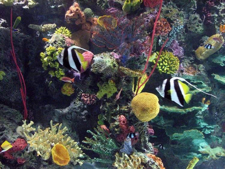 Toronto Zoo — Manwarren Habitats