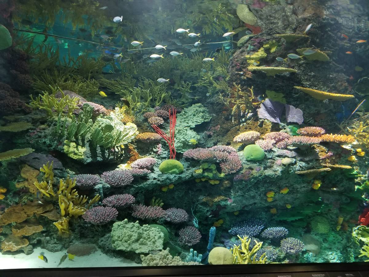 Wonders of Wildlife — Manwarren Habitats