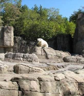 Zoological rockscape — Manwarren Habitats